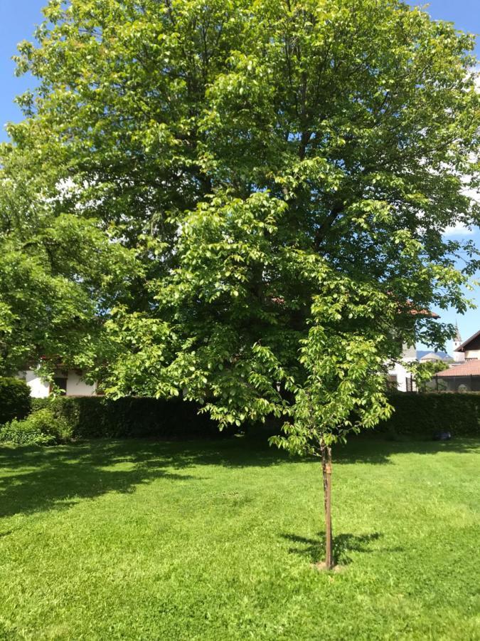 Appartement Nussbaum *