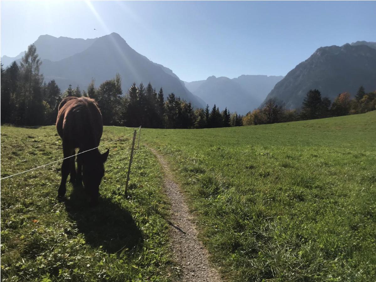 Nussbaum Appartement Golling an der Salzach